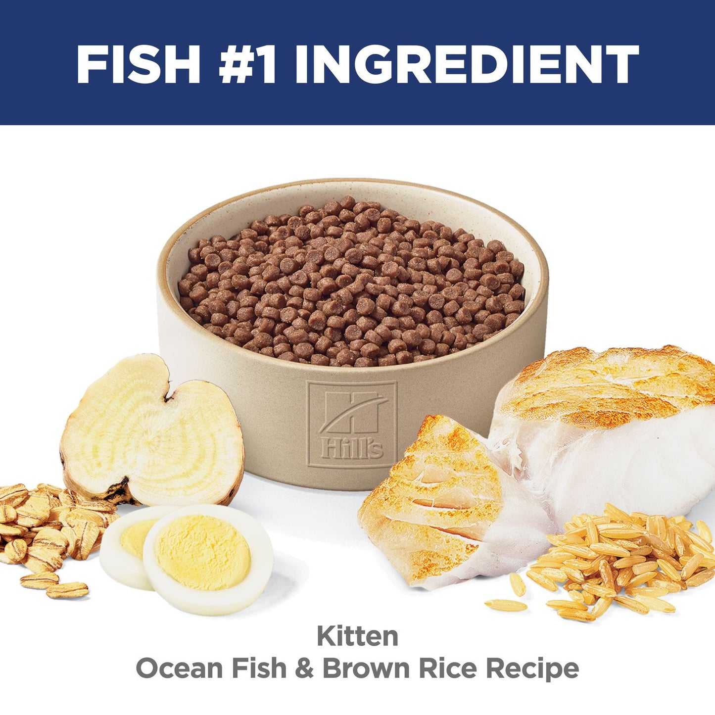 Hill's Science Diet | Alimento seco para gatitos Kitten. Receta de pescado de mar