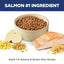Hill's Science Diet | Alimento seco para gatos adultos Adult. Receta de salmón