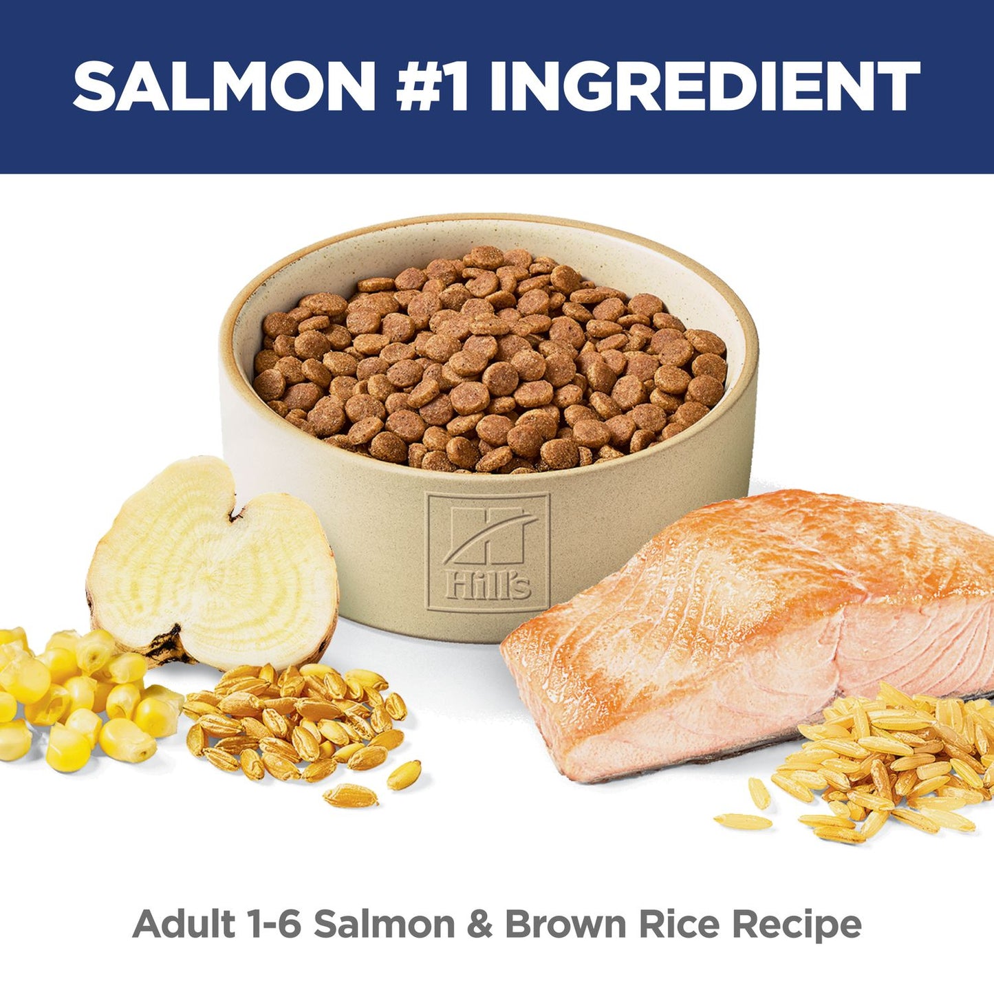 Hill's Science Diet | Alimento seco para gatos adultos Adult. Receta de salmón