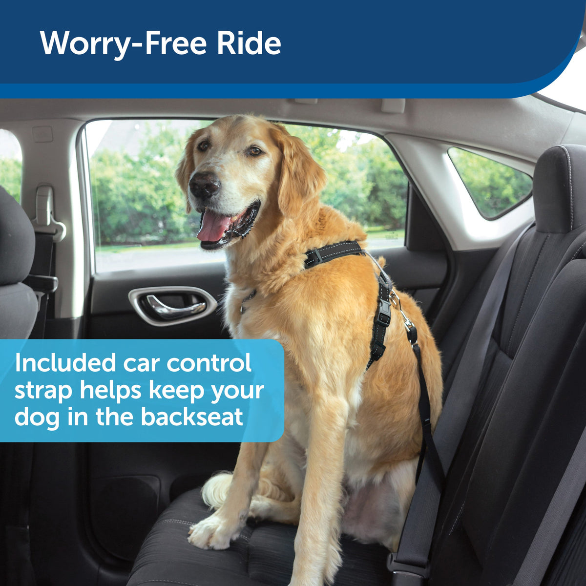 Easy Walk® 3 in 1 Harness with Two Point Control Leash