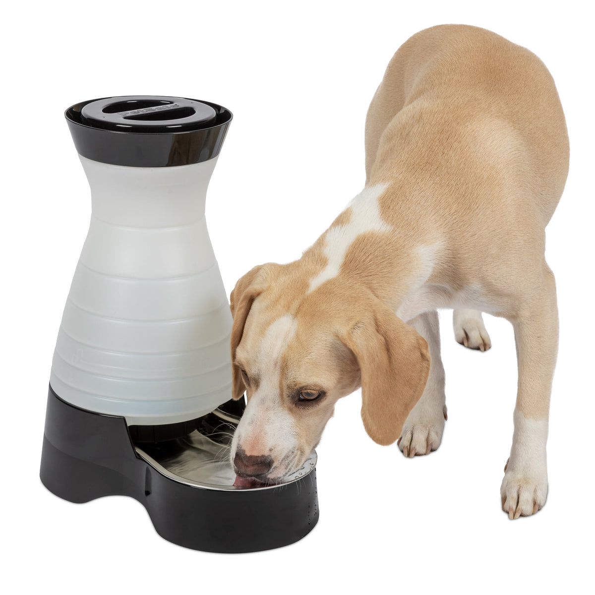 Healthy Pet Water Station™