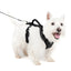 EasySport Harness