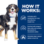 Hill's Prescription Diet | Alimento húmedo para perros Metabolic + Mobility (Pack de 6 latas de 369 g)