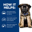 Hill's Prescription Diet | Alimento seco para perros cachorros Digestive Care i/d