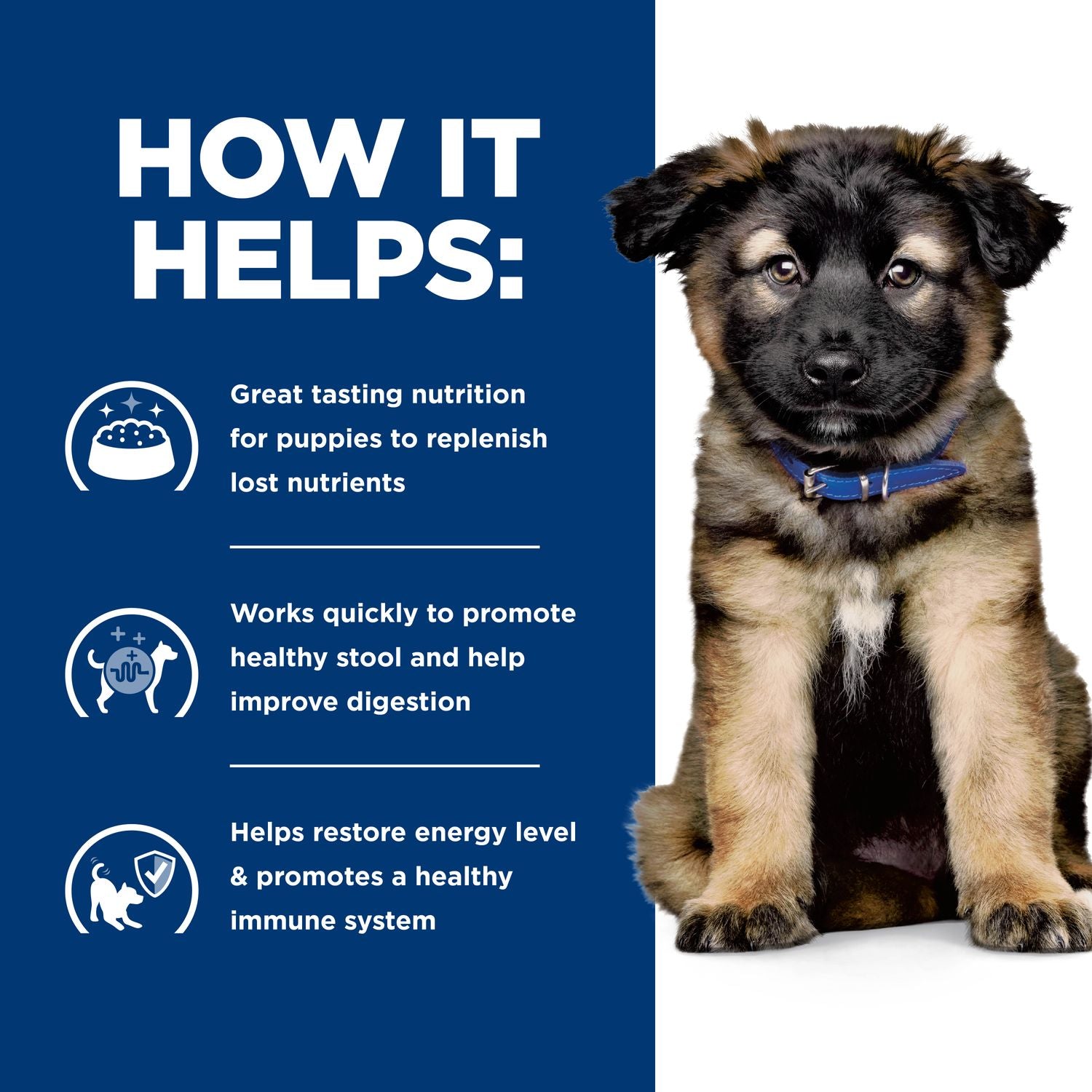 Hill's Prescription Diet | Alimento seco para perros cachorros Digestive Care i/d
