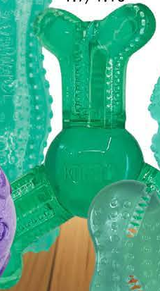 KONG SQUEEZZ Dental Bone — imagen referencial del catálogo Vetpharma; presentación según la opción seleccionada