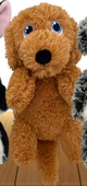 KONG Comfort Pups Goldie — imagen referencial del catálogo Vetpharma; presentación según la opción seleccionada