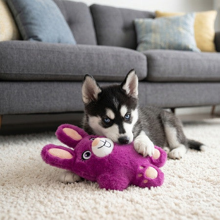 KONG Snuzzles Bunny · foto de uso oficial