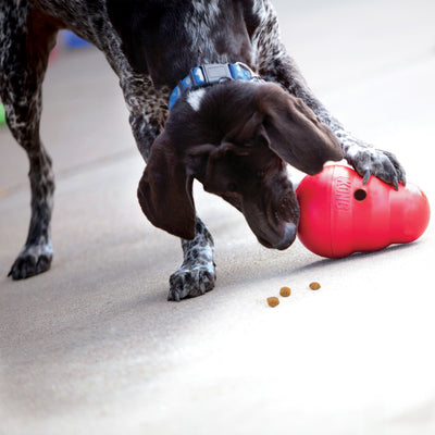 KONG Wobbler · foto oficial del producto