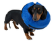 KRUUSE | Collar BUSTER inflable - imagen oficial