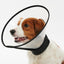 KRUUSE | Collar isabelino BUSTER complete - principal packshot