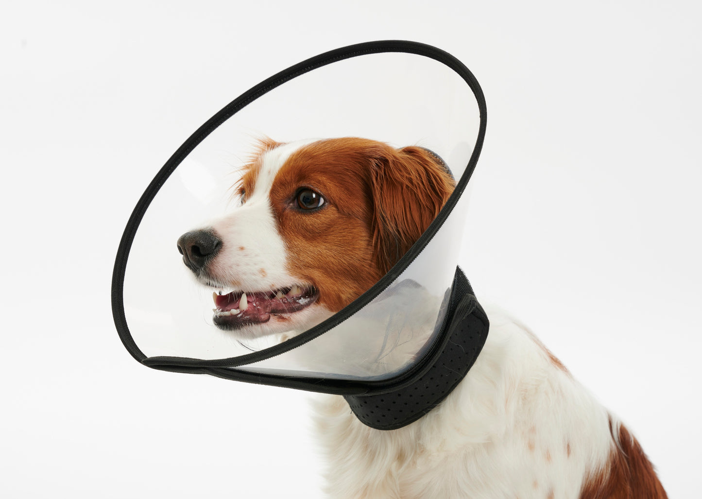 KRUUSE | Collar isabelino BUSTER complete - principal packshot