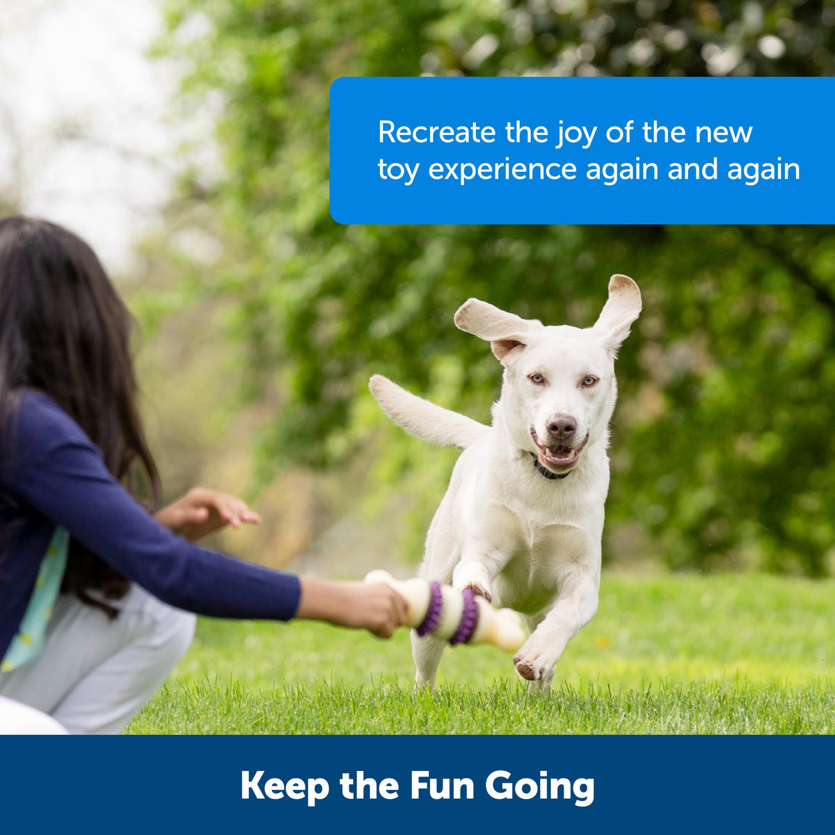 PetSafe Busy Buddy Rawhide Refill B Rings
