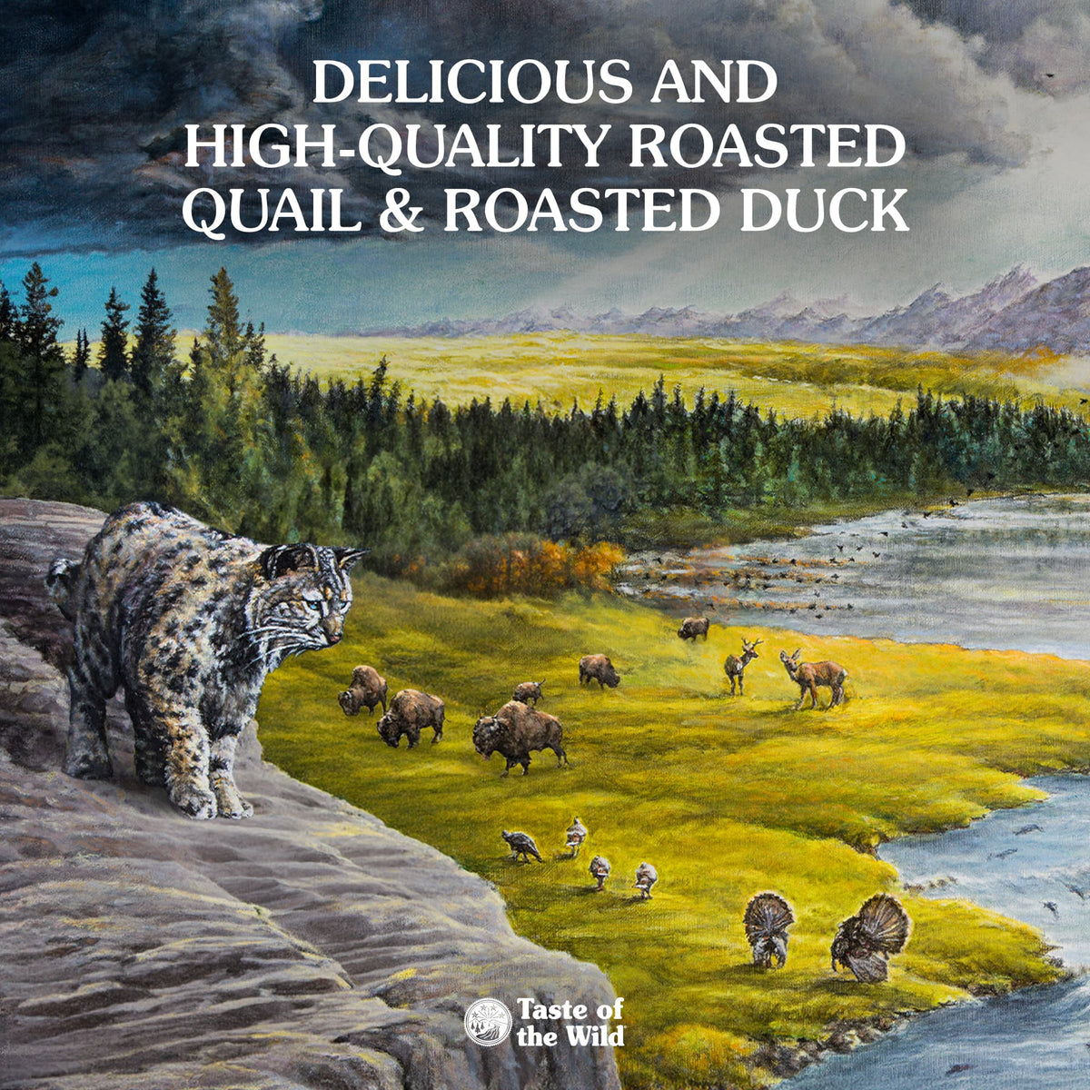 Taste of the Wild | Lowland Creek gatos con codorniz y pato asados
