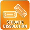 Disolución de estruvita Monge VetSolution
