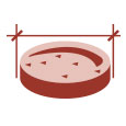Monge | Alimento seco para perros adultos Extra Small. Cordero, arroz y papa