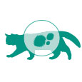 Monge | Alimento seco para gatos adultos Hairball Control