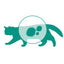Monge | Alimento seco para gatos adultos Hairball Control