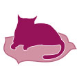 Monge | Alimento seco para gatos adultos Indoor