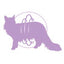 Monge | Alimento seco para gatos adultos Sterilised