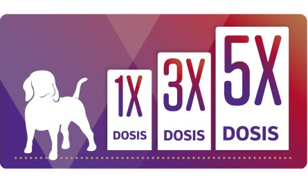 Información oficial de Bravecto 365 de MSD Salud Animal