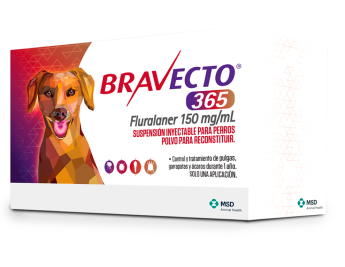Bravecto 365 de MSD Salud Animal, presentación oficial