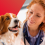 Bravecto 365 de MSD Salud Animal para administración veterinaria en perros