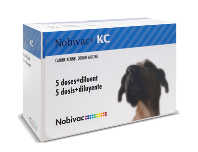 Nobivac KC · envase frontal (caja de 5 dosis con diluyente)