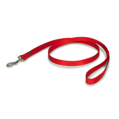 PetSafe Correa de nylon roja 1.9 cm x 1.2 m · producto