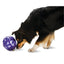 Busy Buddy® Kibble Nibble™