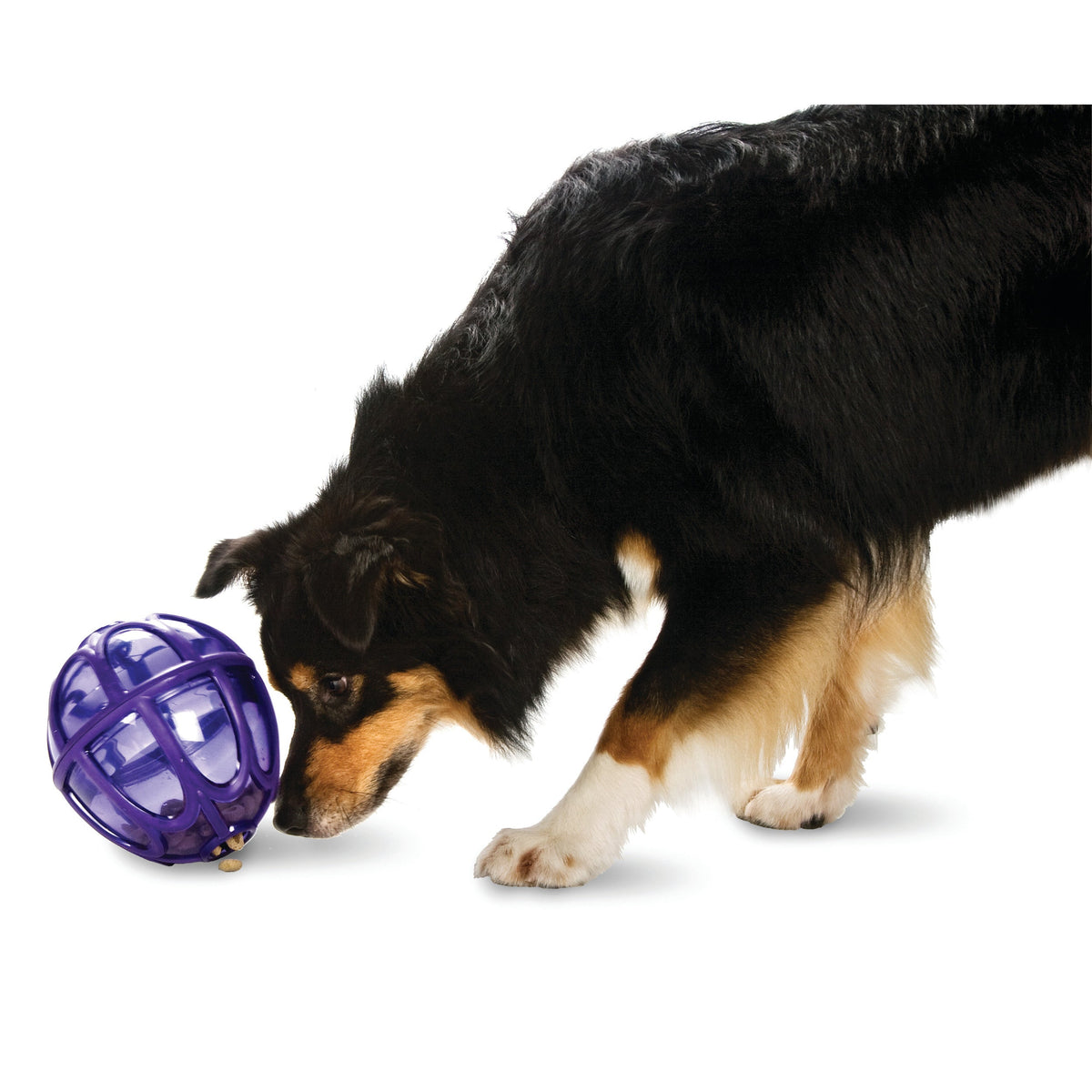 Busy Buddy® Kibble Nibble™