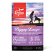 ORIJEN | Alimento seco para cachorros de razas grandes Puppy Large — imagen 2 — CORPF1B100333K10700
