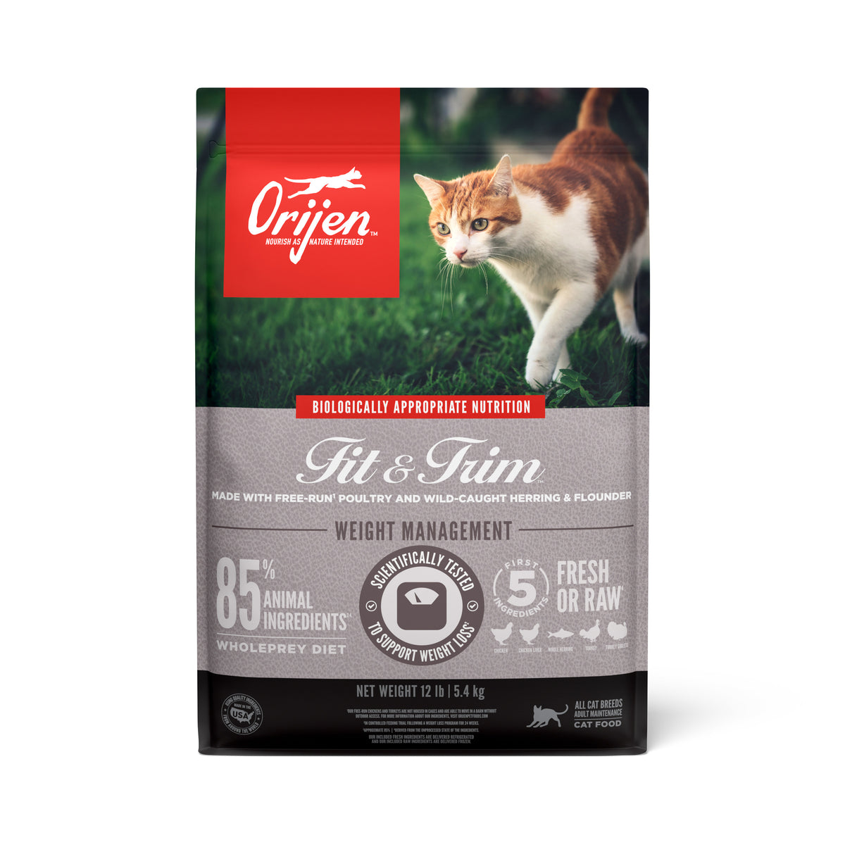 ORIJEN | Alimento seco para gatos adultos Fit & Trim — imagen 2 — CORFF2B100432K05400