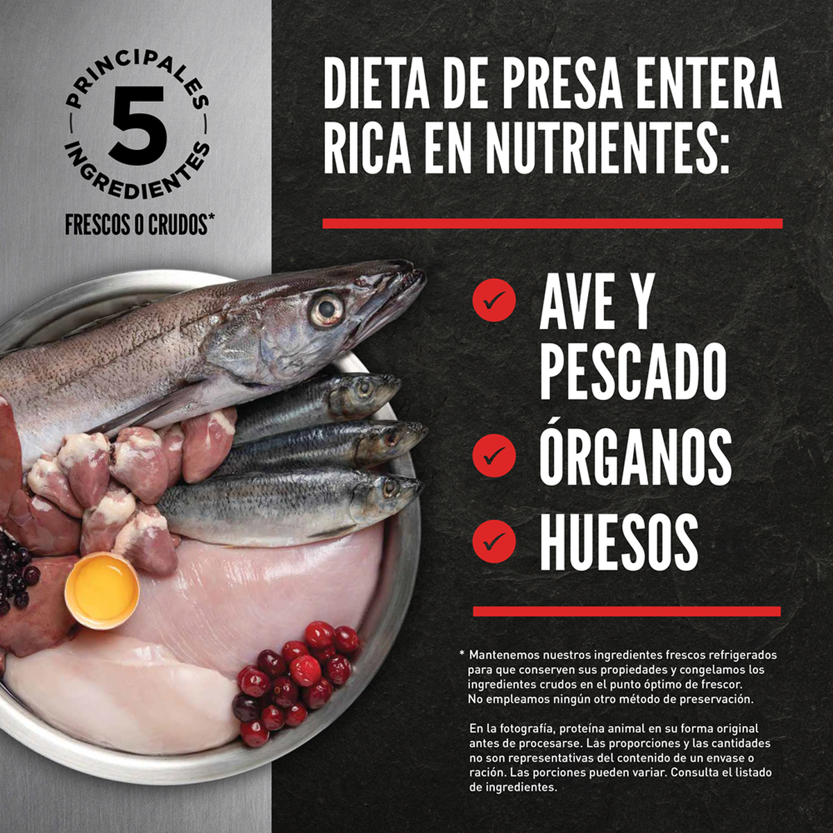 Orijen | Alimento seco para gatos adultos Original — Ingredientes de presa entera para gatos