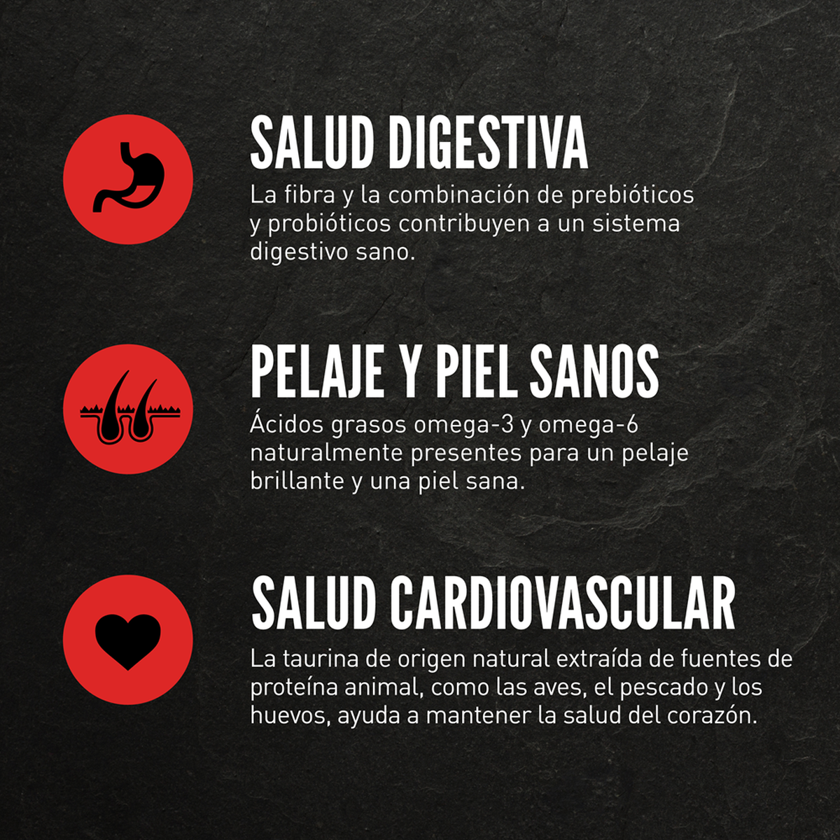 Orijen | Alimento seco para gatos adultos Fit & Trim — Beneficios para digestión, piel, pelaje y corazón