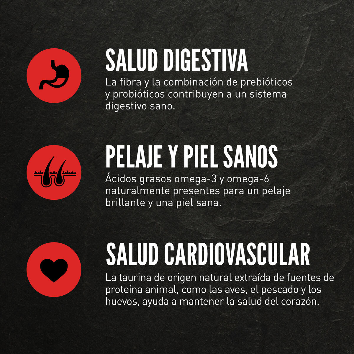 Orijen | Alimento seco para gatitos Kitten — Beneficios para digestión, piel, pelaje y corazón