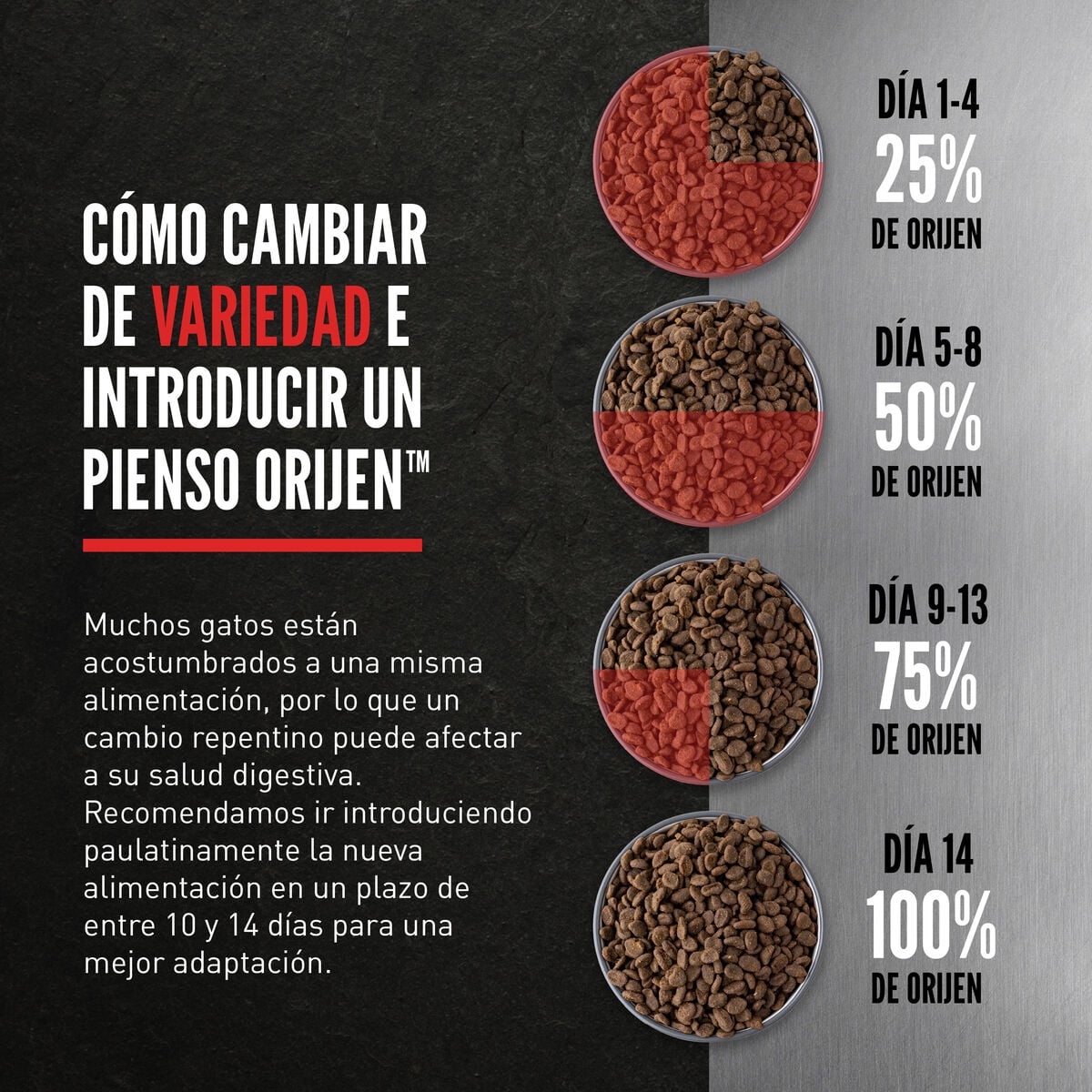 Orijen | Alimento seco para gatitos Kitten — Guía de transición gradual al alimento