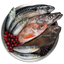 Orijen | Alimento seco para perros adultos Six Fish — Ilustración de pescados de la receta Six Fish