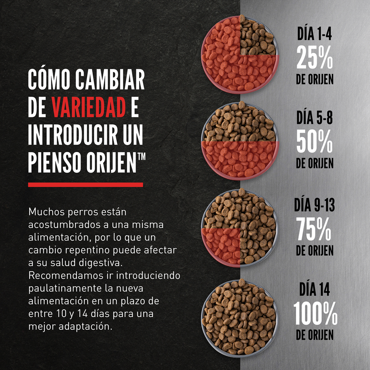 Orijen | Alimento seco para cachorros Puppy — Guía de transición gradual al alimento