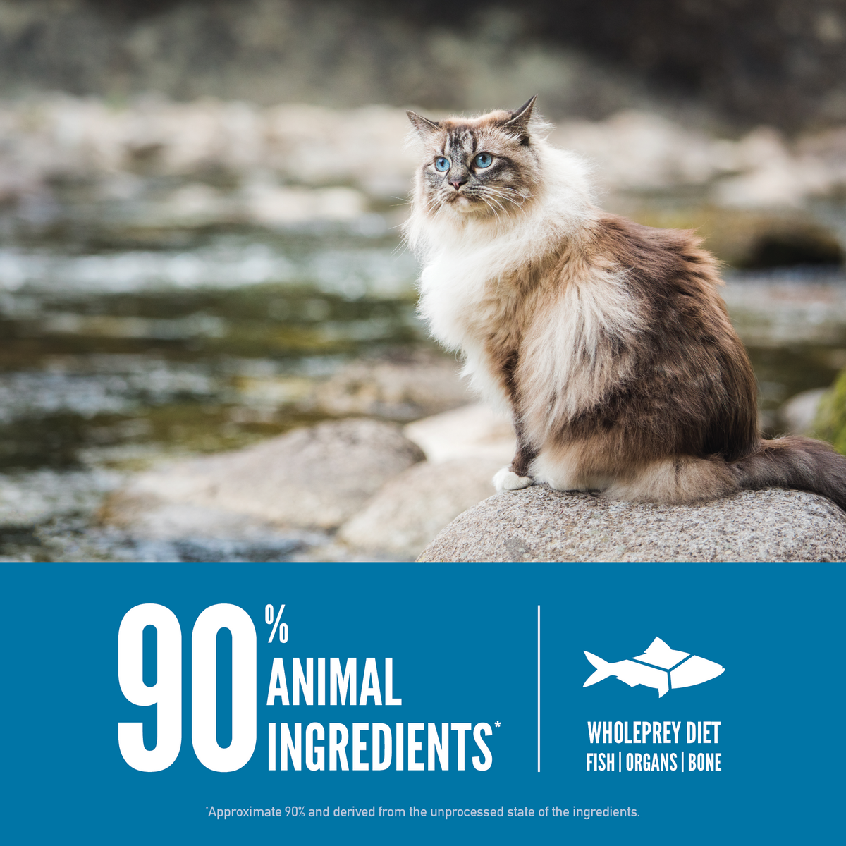 ORIJEN Six Fish para gatos · 90 % de ingredientes animales