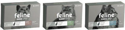 Labyes | Feline Endospot
