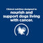 Hill's Prescription Diet | Alimento seco para perros ONC Care