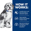 Hill's Prescription Diet | Alimento seco para perros ONC Care