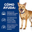 Hill's Prescription Diet | Alimento húmedo para perros Digestive Care i/d. Con Pavo (Pack de 6 latas de 370 g)