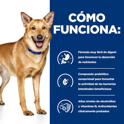 Hill's Prescription Diet | Alimento húmedo para perros Digestive Care i/d. Con Pavo (Pack de 6 latas de 370 g)