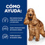 Hill's Prescription Diet | Alimento húmedo para perros Food Sensitivities z/d (Pack de 6 latas de 369 g)
