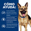 Hill's Prescription Diet | Alimento seco para perros Gastrointestinal Biome