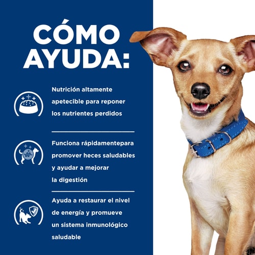 Hill's Prescription Diet | Alimento seco para perros Digestive Care i/d Small Bites