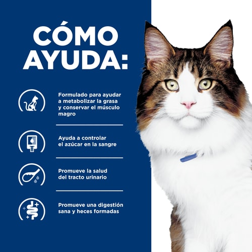 Hill's Prescription Diet | Alimento seco para gatos Multi-Benefit w/d