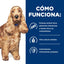 Hill's Prescription Diet | Alimento seco para perros Food Sensitivities z/d